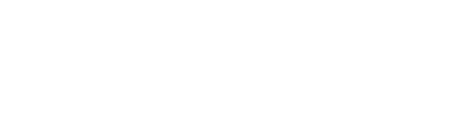 VeraFlow